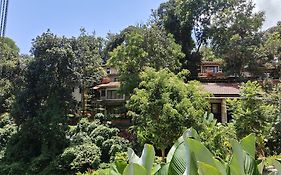 Safari Hills